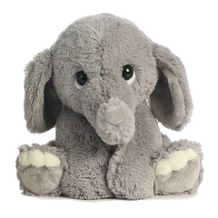 Aurora Playful Lil Benny Phant grey eyes invite imaginative play and companionship.