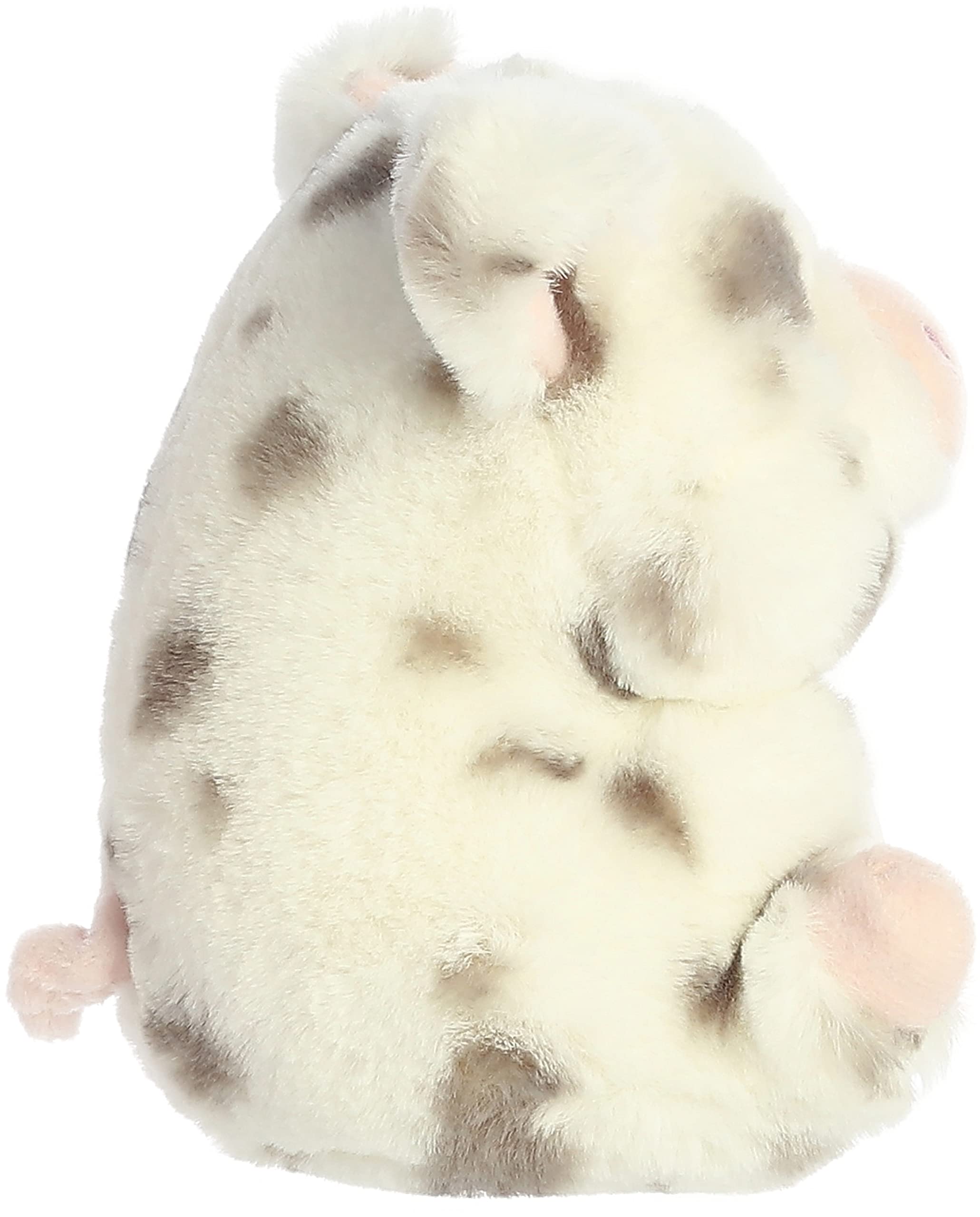 Aurora Playful Rolly Pet Periwinkle Pig paws-up pose for cozy fun