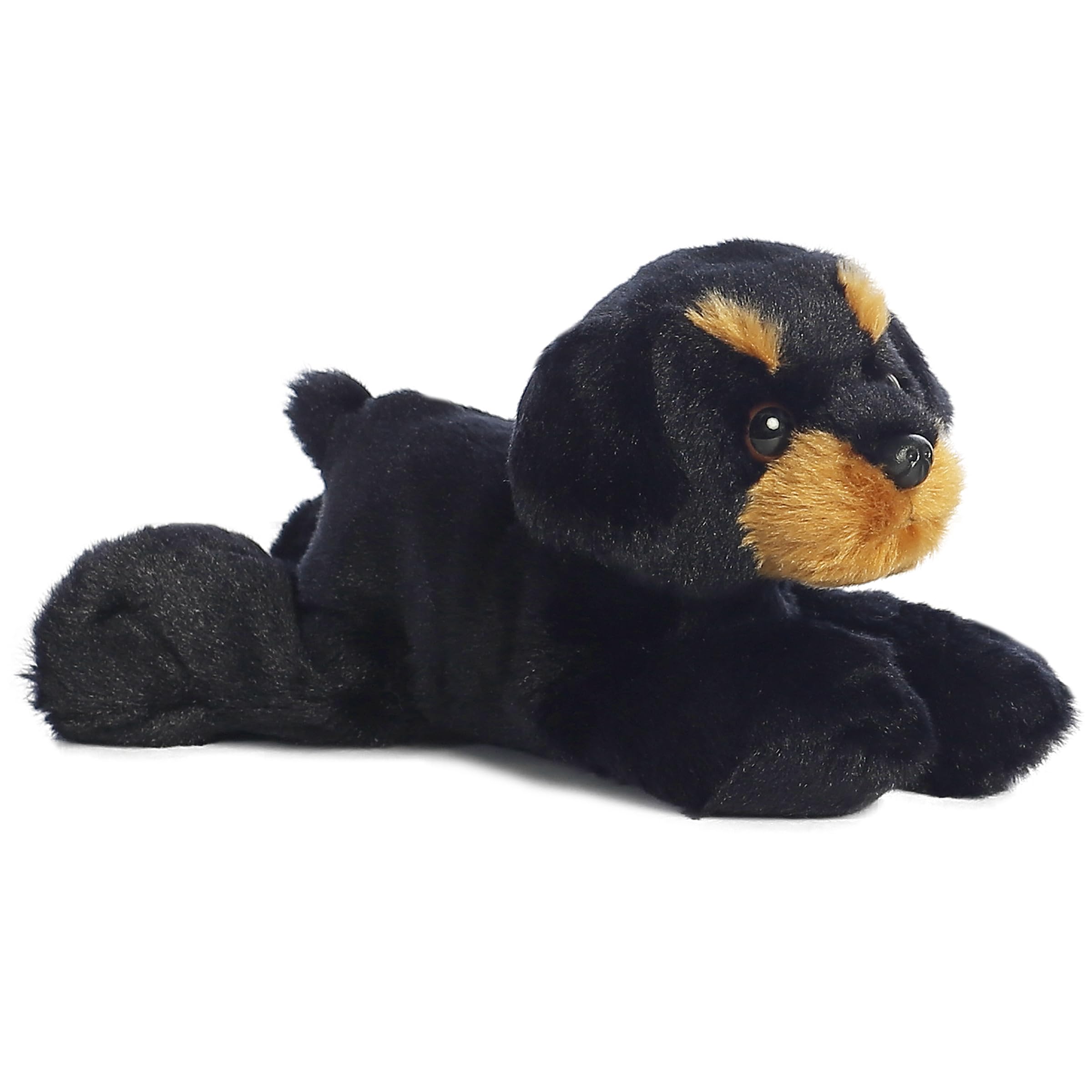 Aurora Raina mini Flopsie rottweiler face with expressive eyes for cuddling and play.