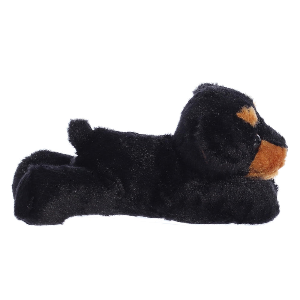 Aurora Raina snuggle pose supports easy storytelling and pretend adventures.
