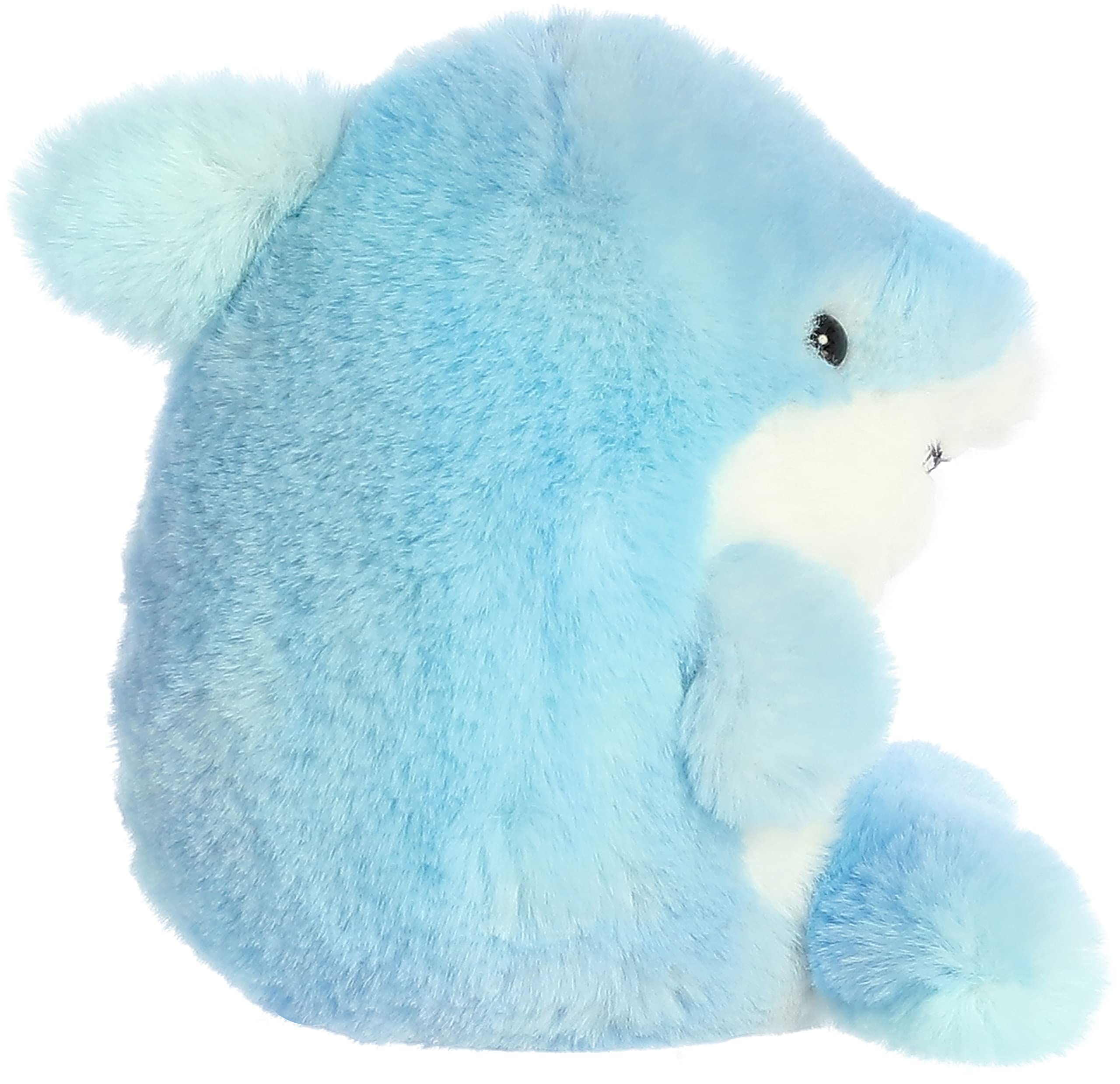 Aurora Sutton Shark plush travels easily as an on-the-go companion.