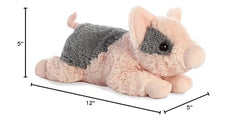 Tidbit Mini Pig resting on belly for easy play