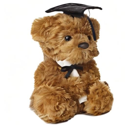 Aurora Wagner Graduation Bear close-up shows fluffy fur, ideal for keepsake display.
