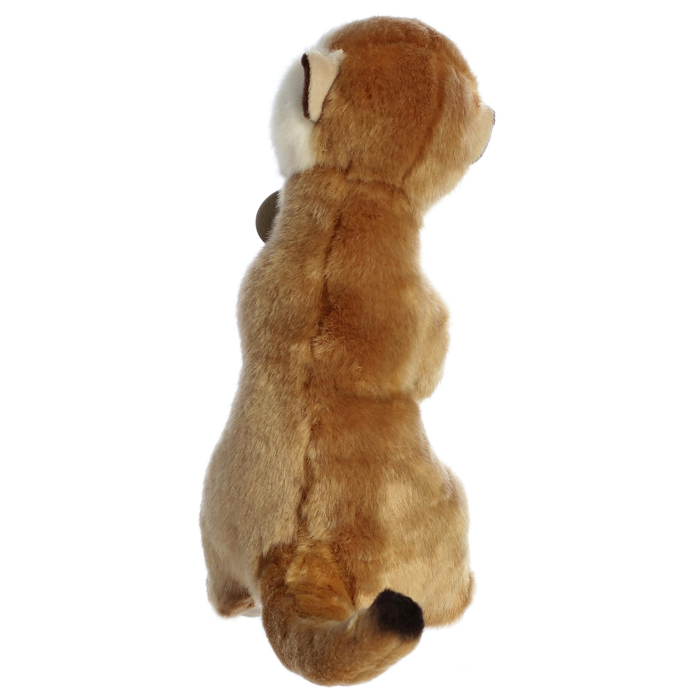 Aurora Miyoni meerkat plush measures 10 inches, perfect desk buddy.