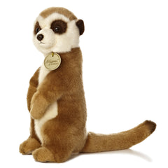 Aurora Miyoni meerkat plush close-up of eyes and nose for lifelike charm.