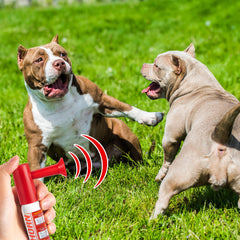Avenuebool red mini air horn used in dog training for recall signaling.