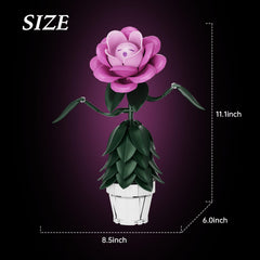 AZBHDTYS Wonderland Flower gift box is ready for gifting.