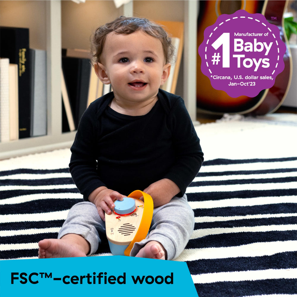 Baby Einstein Hape Discovery Radio wooden construction durable and tactile