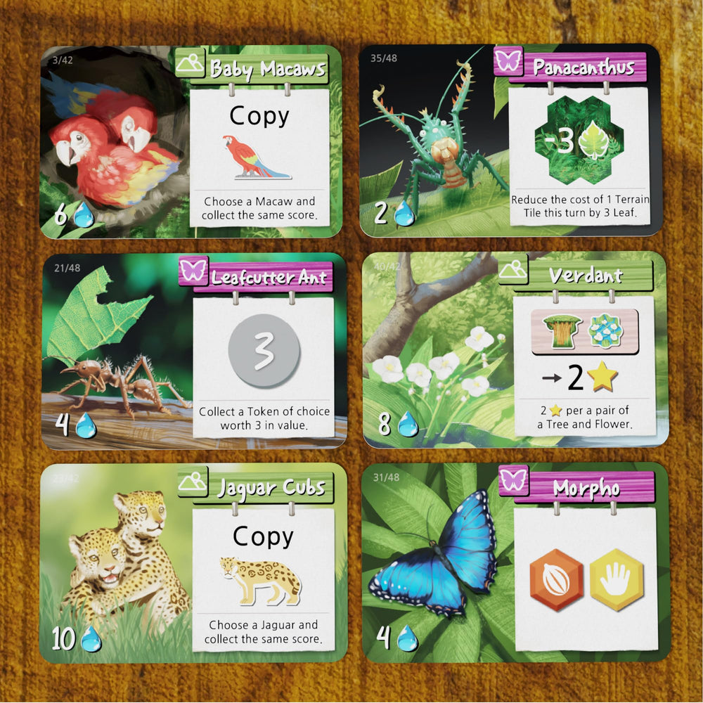 BAD COMET Life of The Amazonia nature-cards highlighting ecosystem events