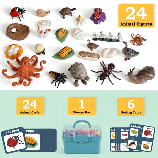 Bambilo life cycle Ants figures for interactive science exploration.