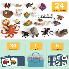 Bambilo life cycle Ants figures for interactive science exploration.