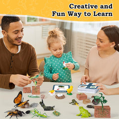 Bambilo life cycle bee figure highlights pollination basics through tactile play.