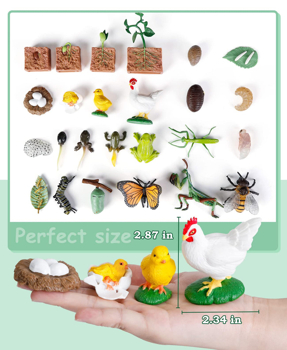 Bambilo guide cards pair with figures to reinforce stages.