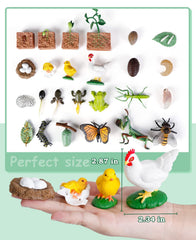 Bambilo guide cards pair with figures to reinforce stages.