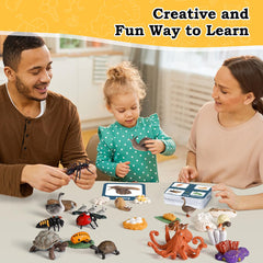 Bambilo life cycle land turtle figures for tactile learning.