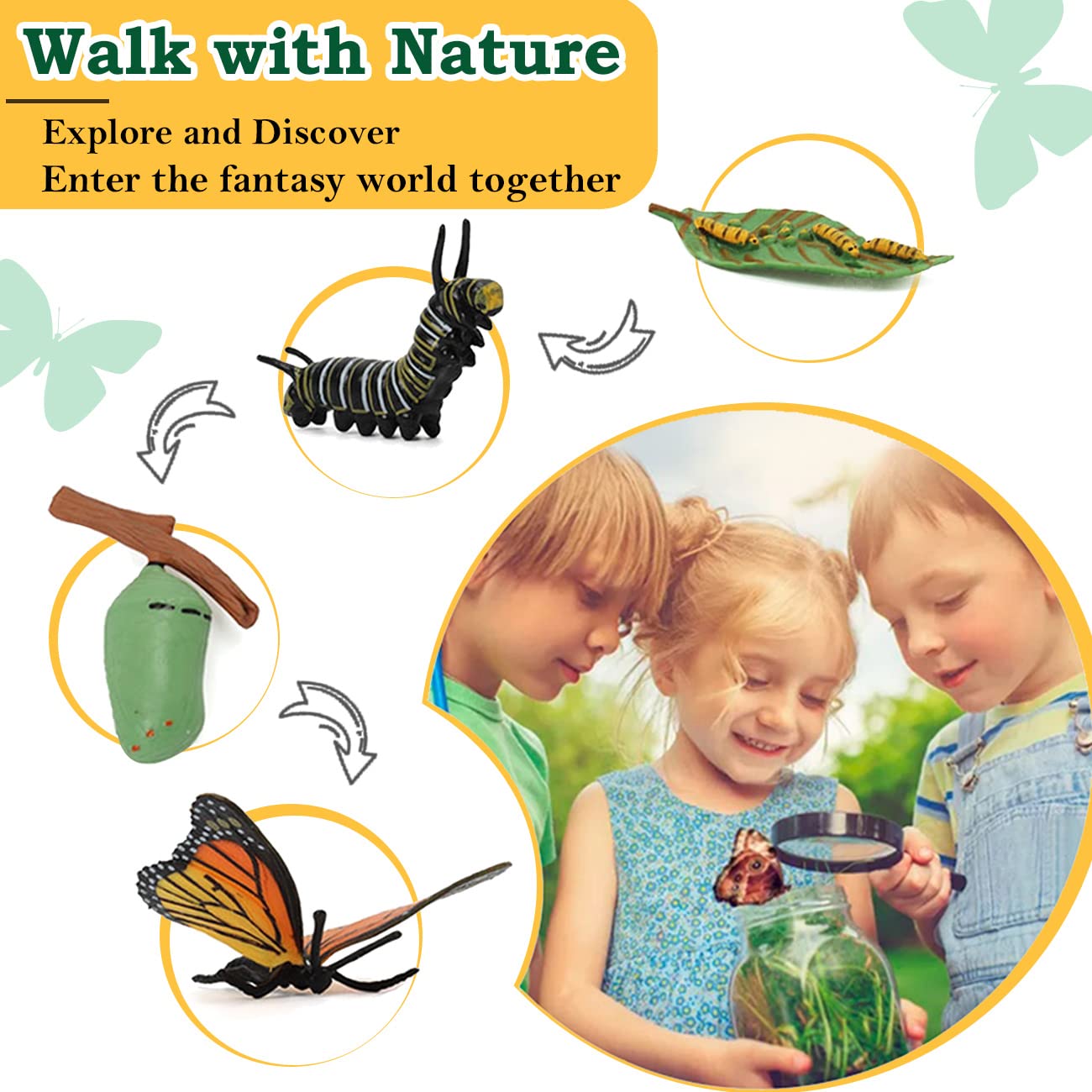Bambilo life cycle mantis figure sparks curiosity about insect development.