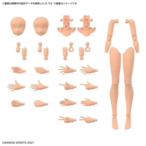 Bandai Hobby 30MS pose sample color C for display ideas.