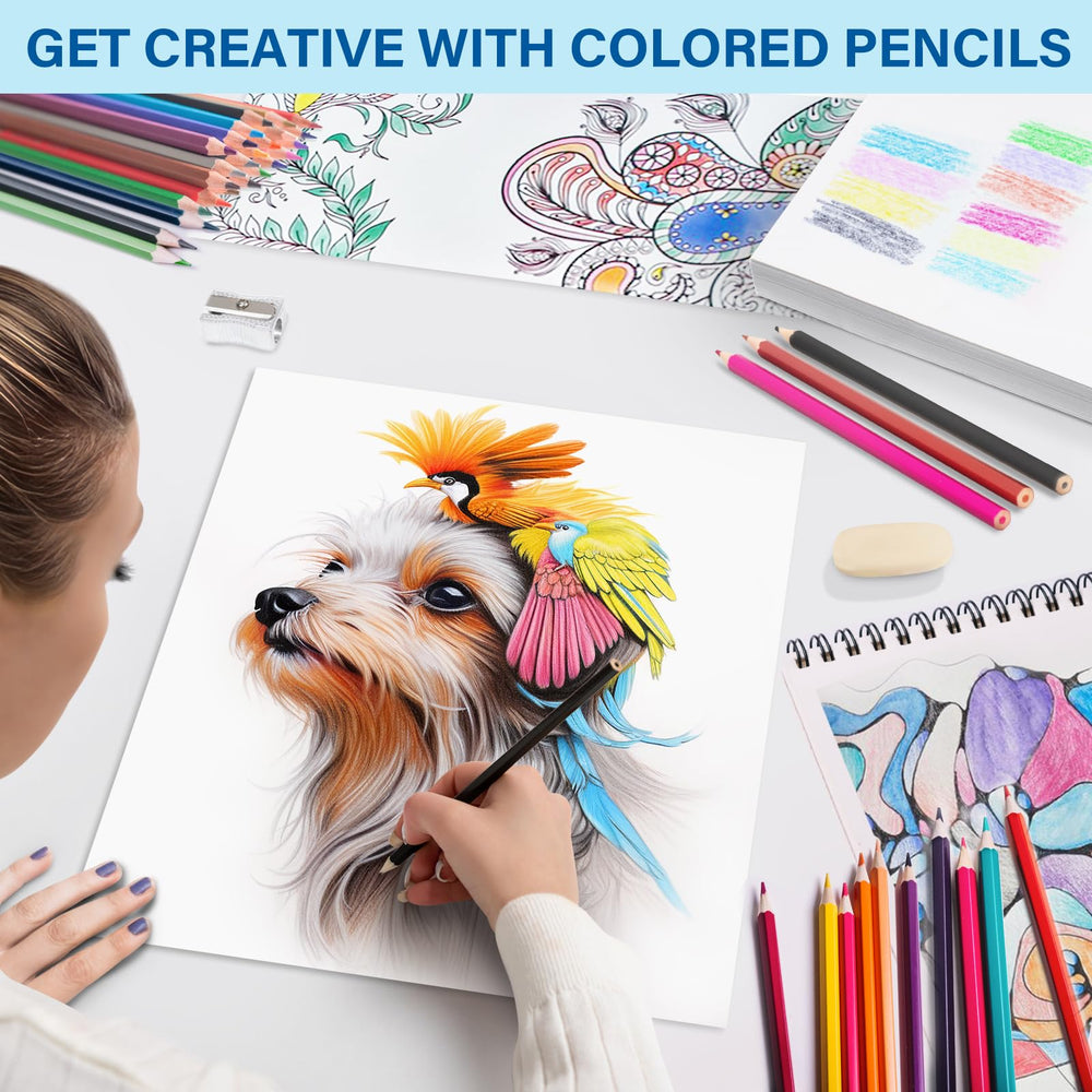 BAODLON classroom art supplies ready for teachers and students in project settings