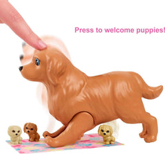 Barbie puppies reveal color-change birthmarks after a cold water dip.
