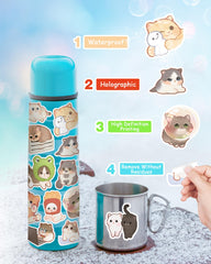 Baslaky cat stickers on a guitar case add color while staying durable.