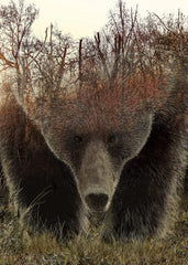 BBOLDIN Animal Bear Puzzle box front shows premium packaging for 1000-piece set