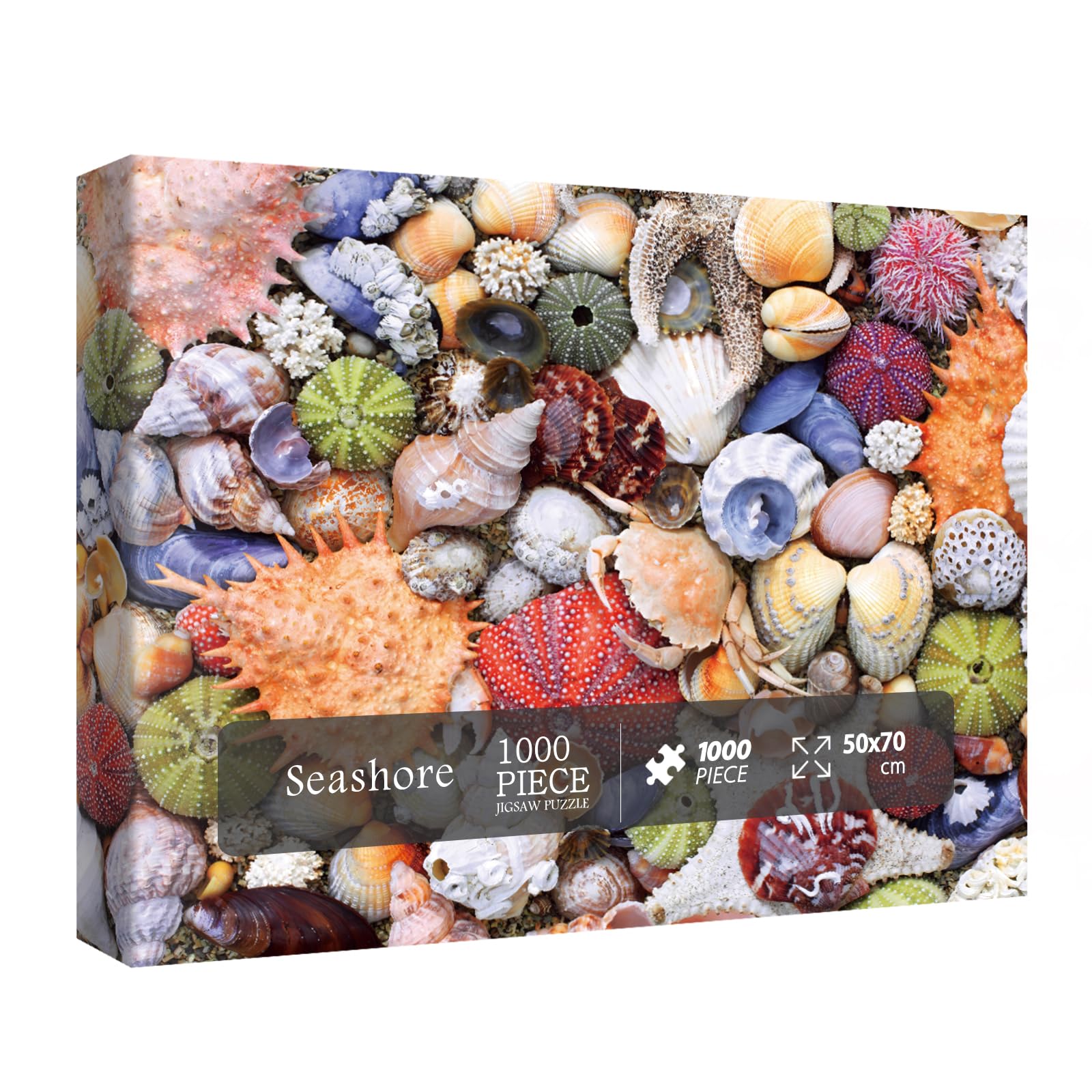 BBOLDIN Colorful Seashell 1000-piece Puzzle—vibrant oceanscape for mindful, relaxing evenings.