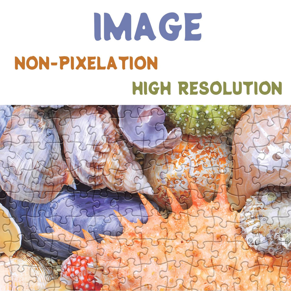 BBOLDIN Seashells Detailed Pattern 1000-piece Puzzle—enhanced ink and sustainable cardboard.