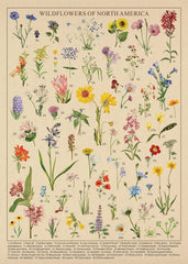 BBOLDIN Finished puzzle measures 27.5 x 19.7 inches, ready to frame