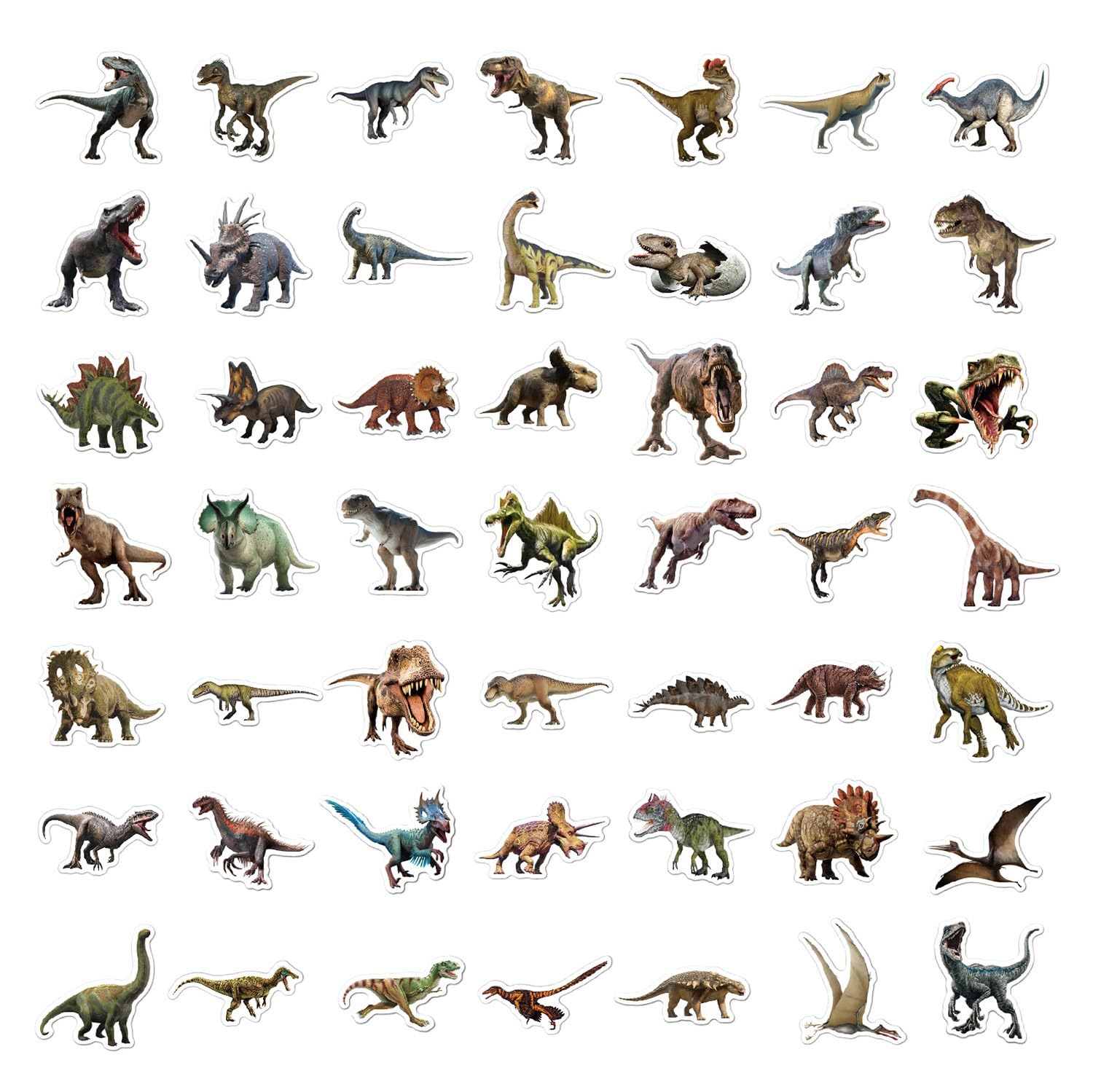 BBPOOL dinosaur stickers for classroom projects and crafts.