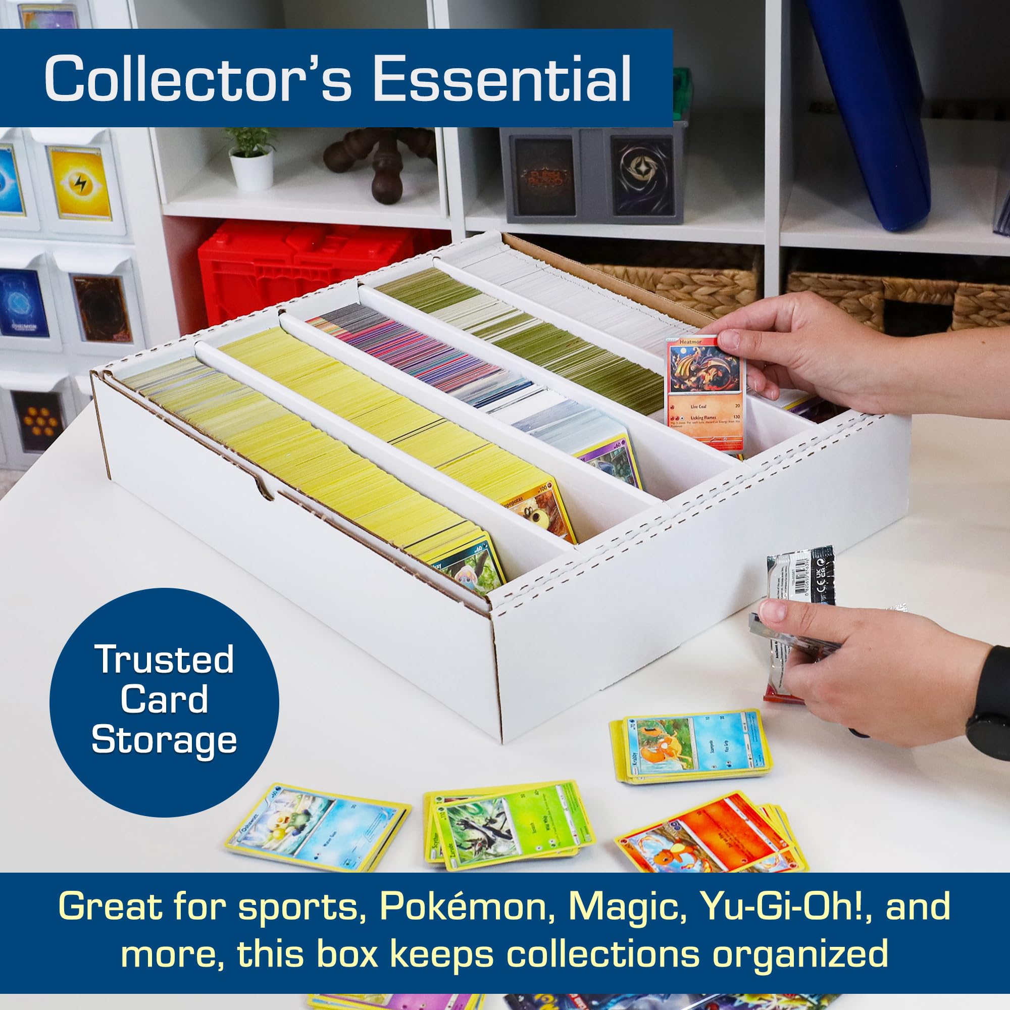 BCW inner dimensions fit standard card dividers for tidy arrangement.