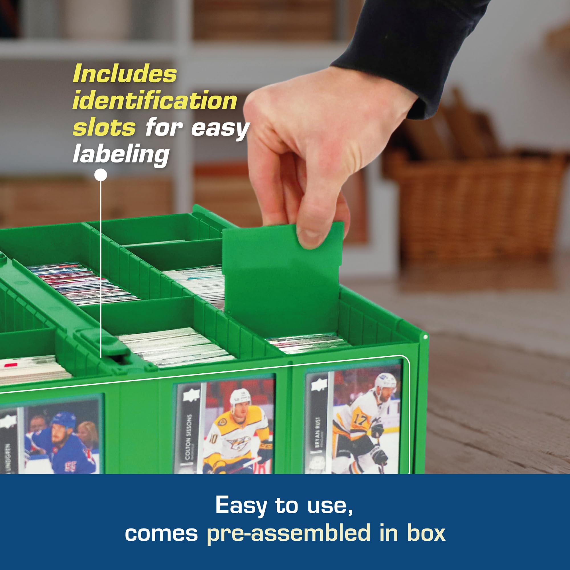 BCW Collectible Card Bin Green rows with partitions for customizable organization.