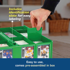BCW Collectible Card Bin Green rows with partitions for customizable organization.
