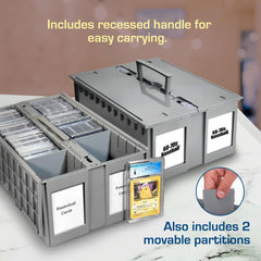 BCW external-slots labeling helps quick category identification during shows.