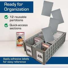 BCW sturdy upright support keeps slabs aligned during display