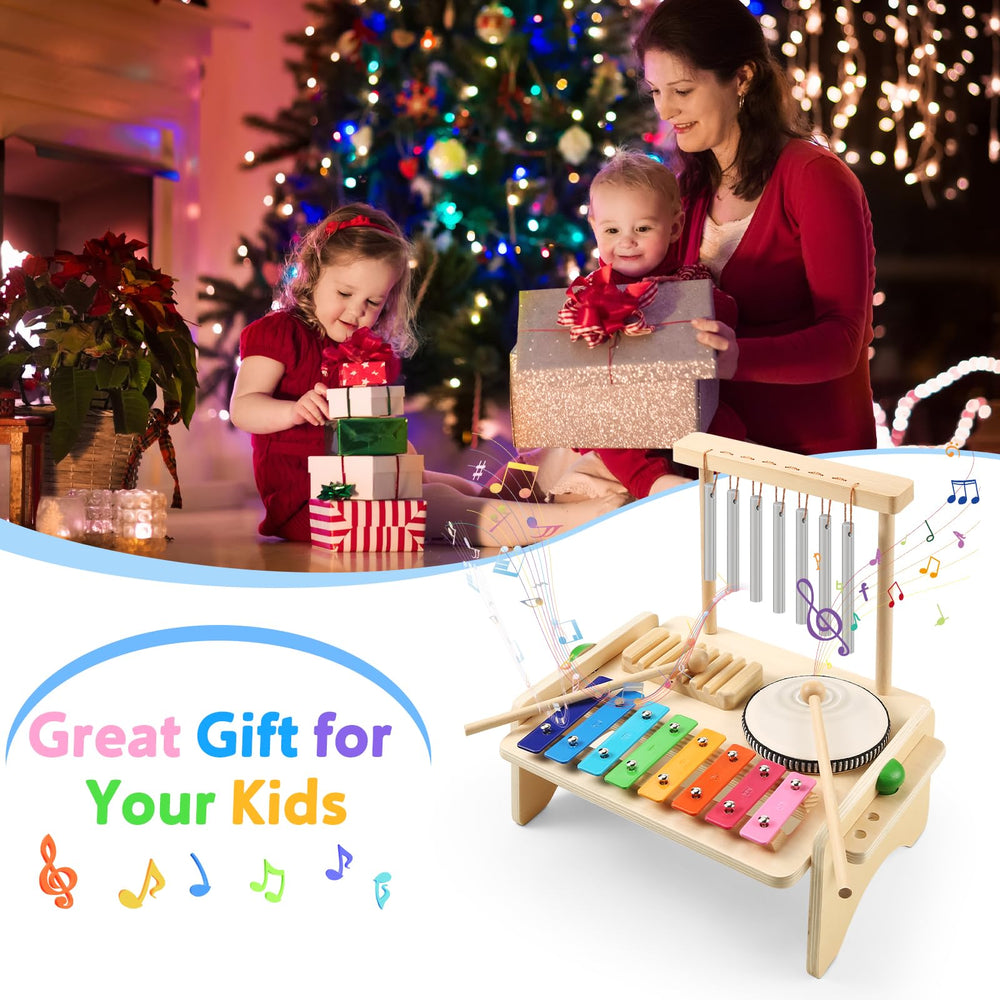 BCY Hohipi kit packaging—perfect gift for toddlers and budding musicians.