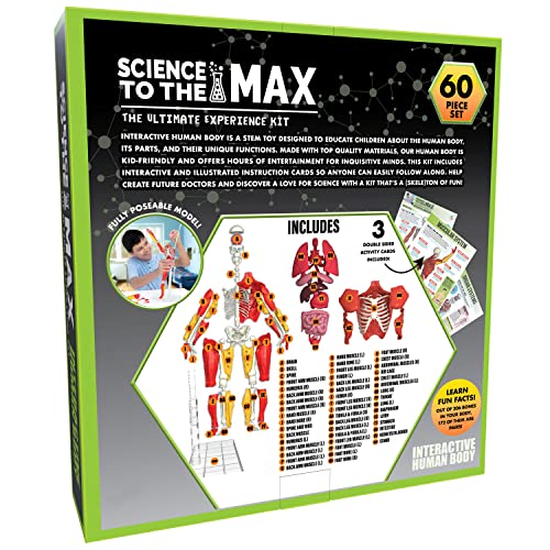 Be Amazing! Toys Interactive Human Body removable bones to trace skeletal structure.