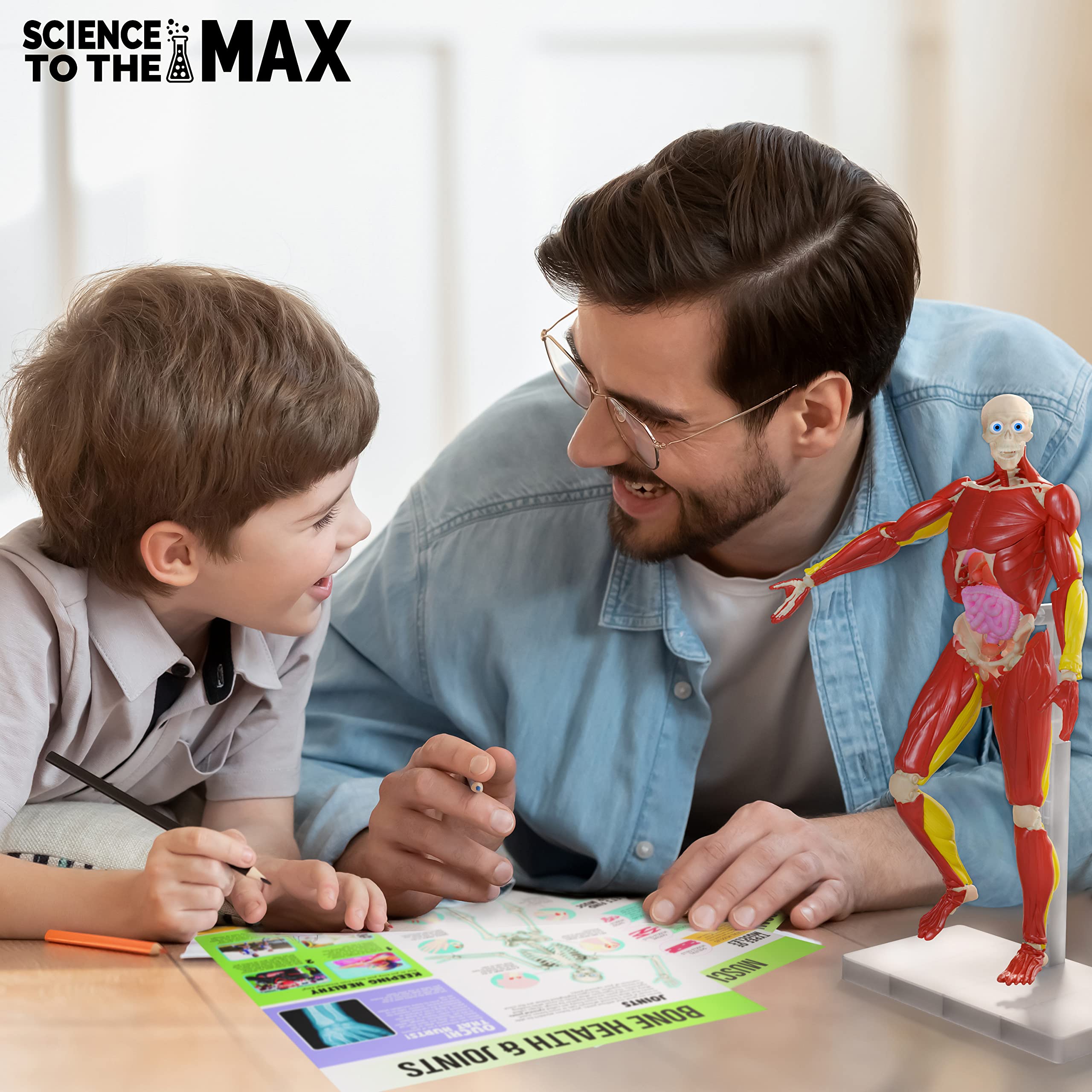 Be Amazing! Toys Interactive Human Body adjustable stand provides stable practice poses.