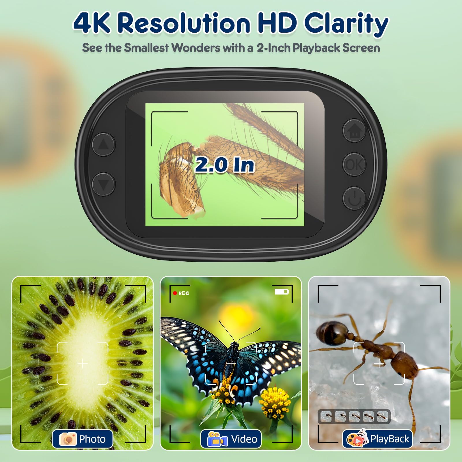 BEBANG 4K 2-inch screen display showcases detailed magnified specimens clearly