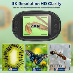 BEBANG 4K 2-inch screen display showcases detailed magnified specimens clearly