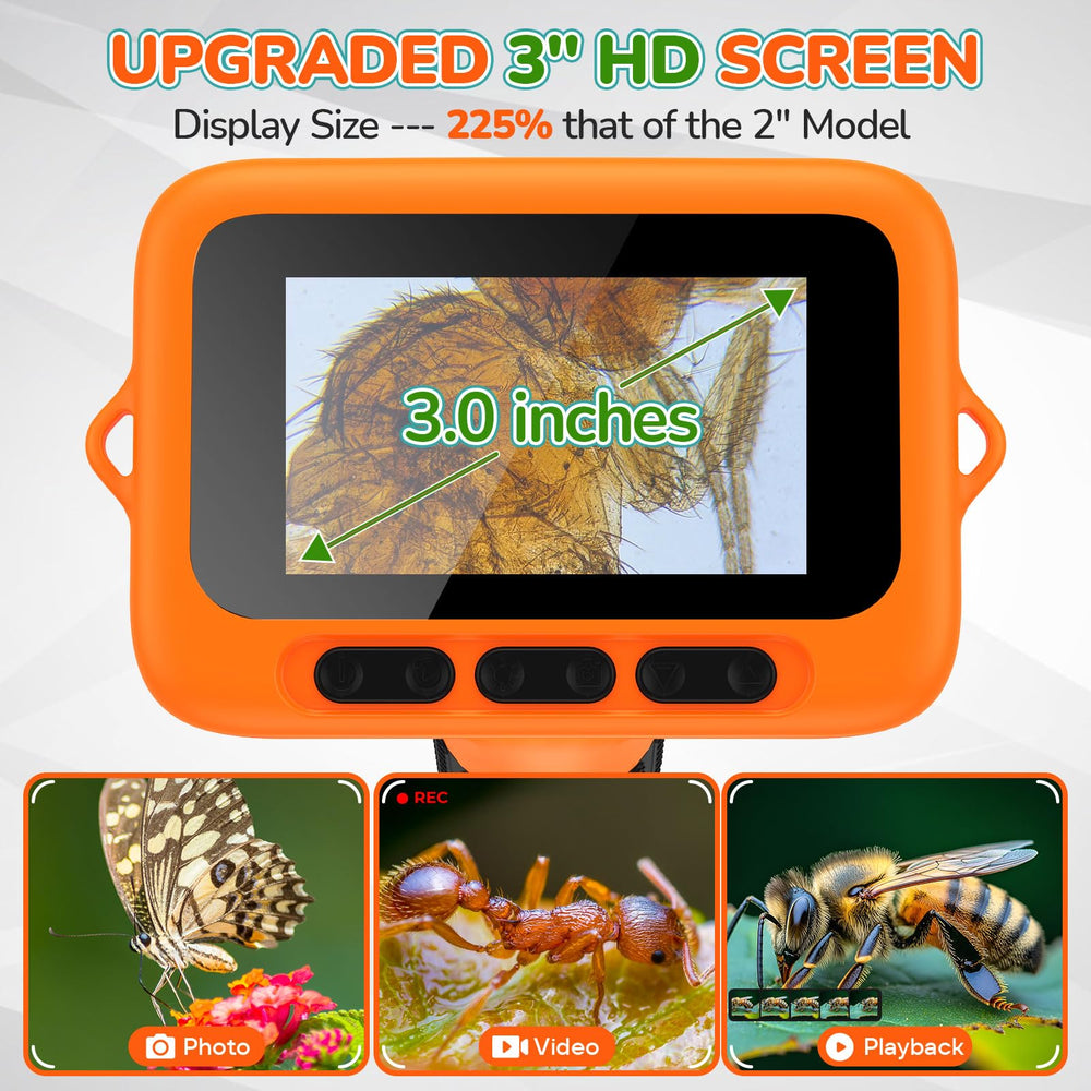 BEBANG zoom range 100x-1000x for detailed insect and leaf observations.
