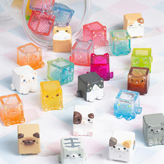 BEEMAI Square Cat Series shows regular and hidden editions for collectibility.