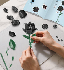 BeepZipp step-by-step instructions simplify assembly for all skill levels.