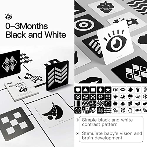 beiens 80-card set 160 pages highlights diverse themes for developmental exploration.