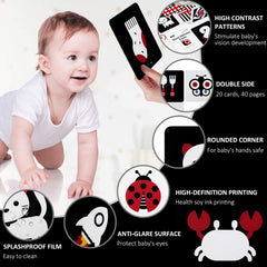 Beiens visual cards for 12–36 months foster exploratory learning with engaging images.