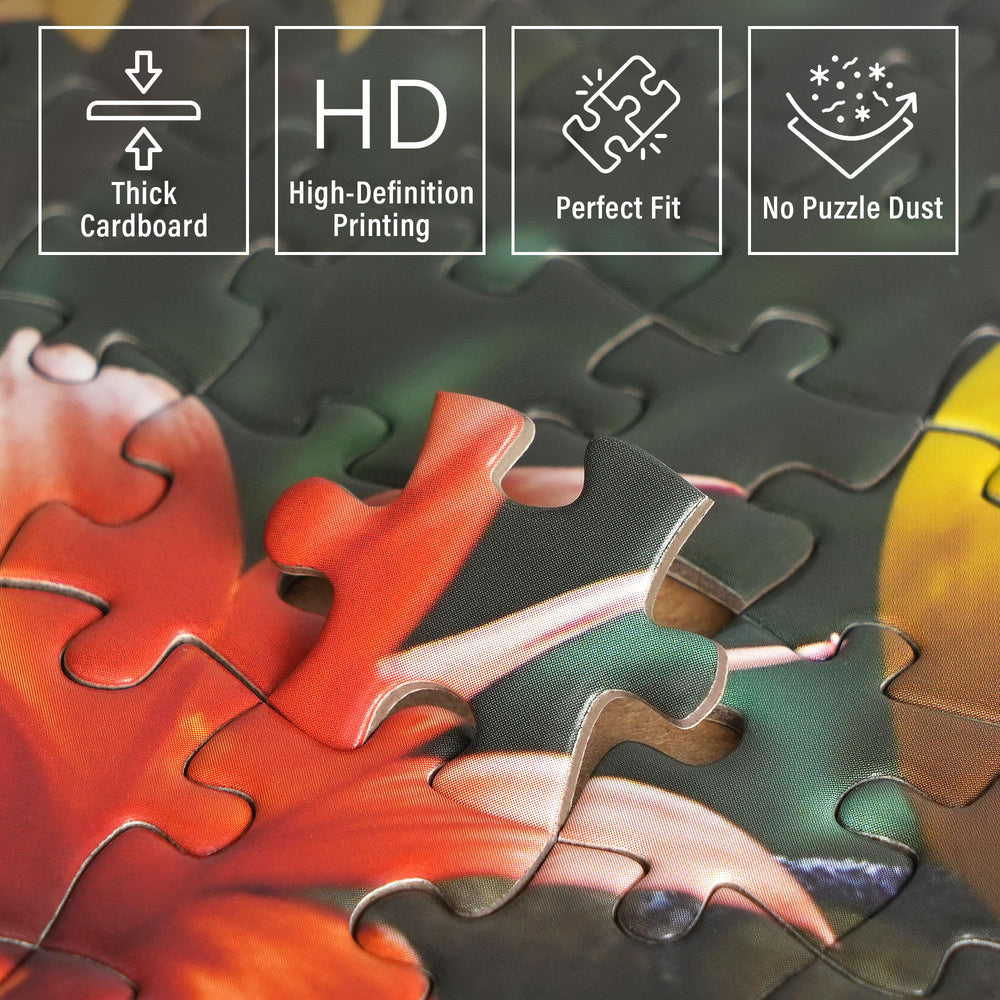 BenBen 4-pack packaging illustration showing four themes.