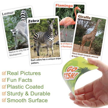 BenBen Go Fish laminated cards offer durability for everyday family play.
