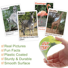 BenBen Go Fish laminated cards offer durability for everyday family play.