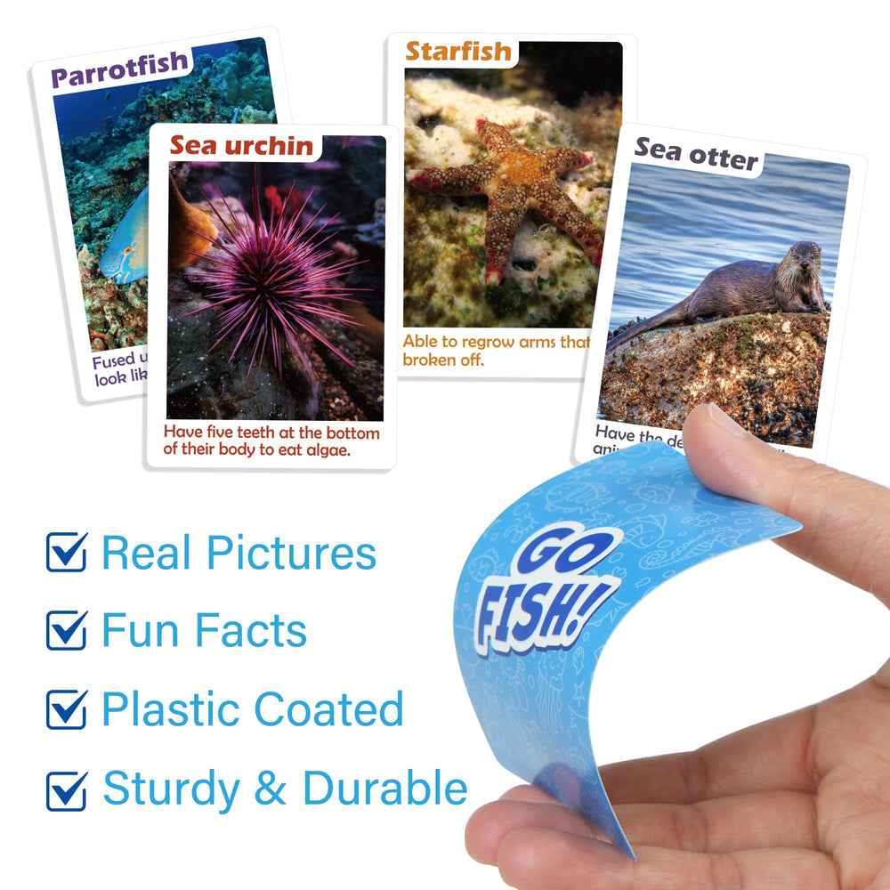 BenBen Go Fish supports Memory and Old Maid game variants for flexible play.