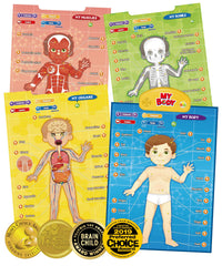 Best Learning i-Poster heart and lungs for interactive anatomy exploration.
