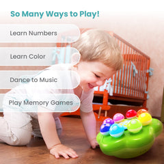 BEST LEARNING Mushroom Garden pattern memory activity boosting focus and recall.